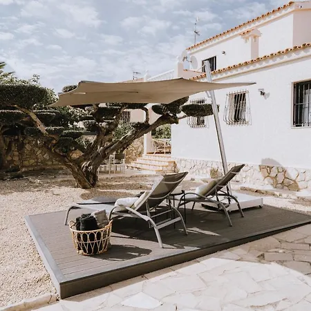 Oliveres3 *
