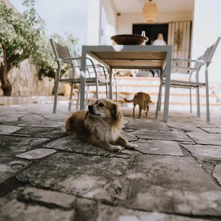 Oliveres3 * إليامبويا