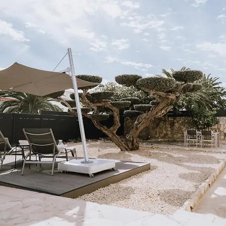 Oliveres3