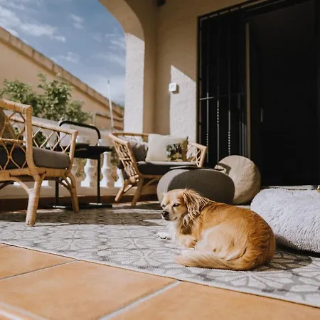 Oliveres3 Hébergement de vacances L'Ampolla